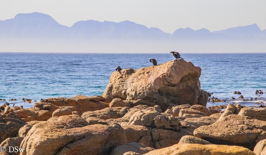 Lark House, Glencairn Heights, Cape Town